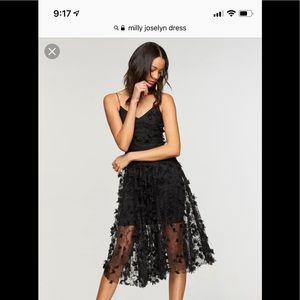 Milly Joselyn embroidered 3D tulle dress